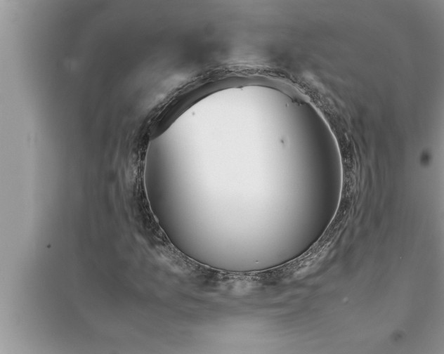 X0000095521157200712211256