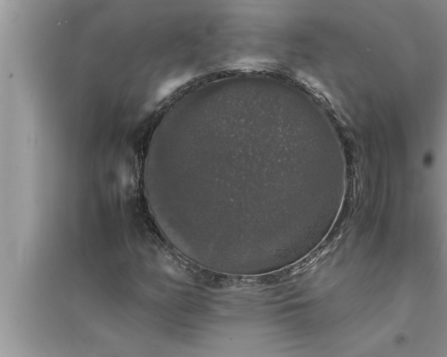 X0000095521158200712211256