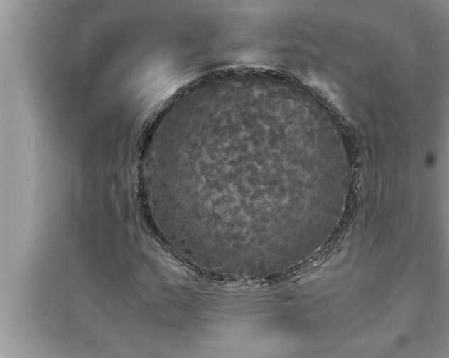 X0000095521159200712211256