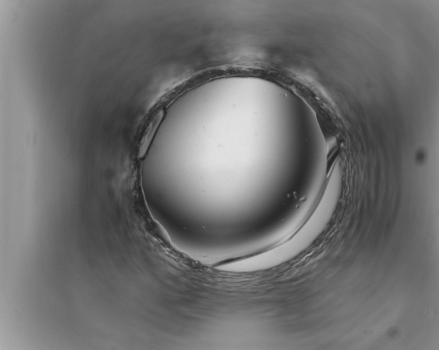 X0000095521160200712211256