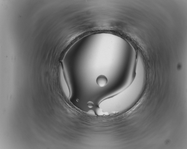 X0000095521161200712211256