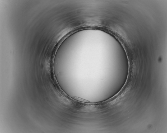 X0000095521162200712211256