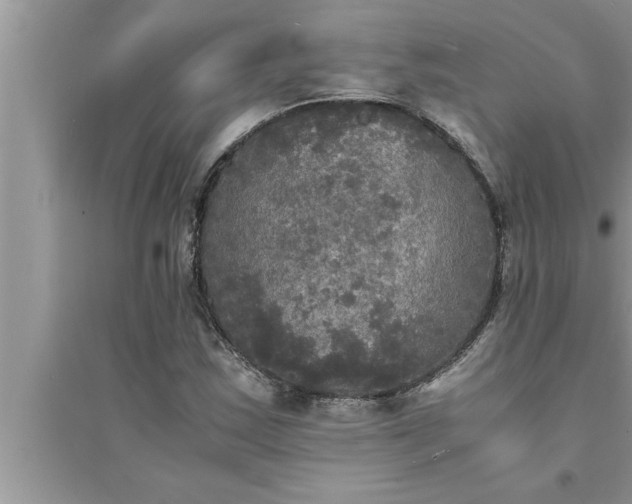 X0000095521163200712211256