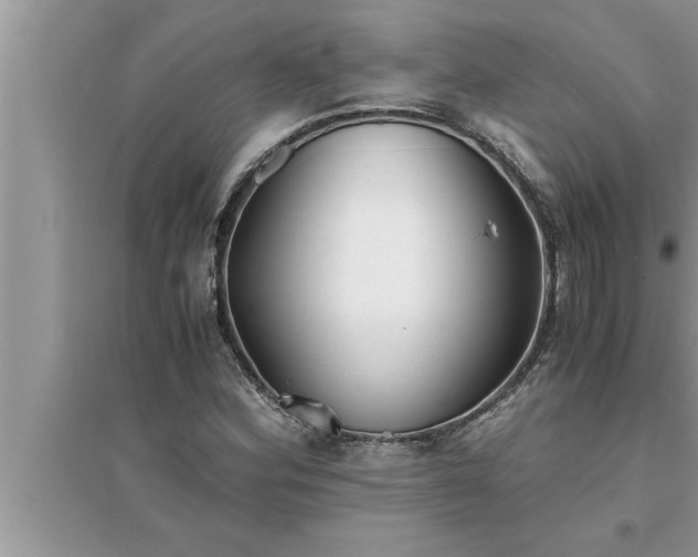 X0000095521164200712211256