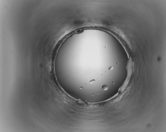 X0000095521165200712211256