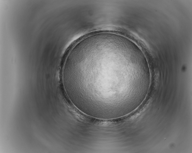 X0000095521166200712211256