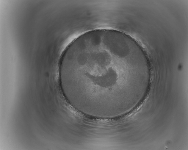 X0000095521167200712211256