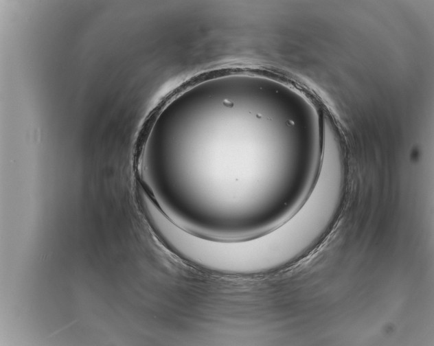 X0000095521168200712211256