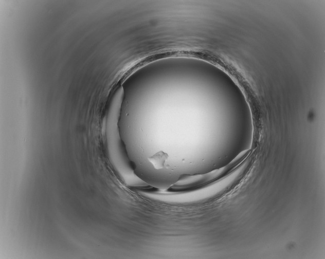 X0000095521169200712211256