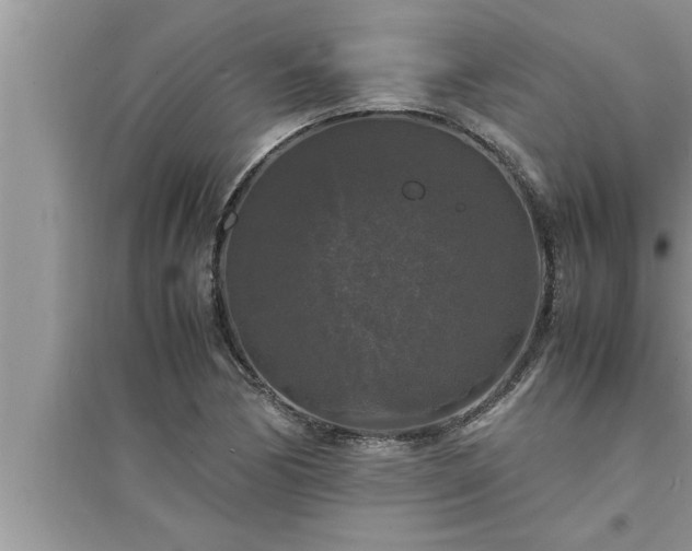 X0000095521170200712211256