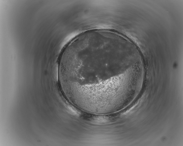 X0000095521171200712211256