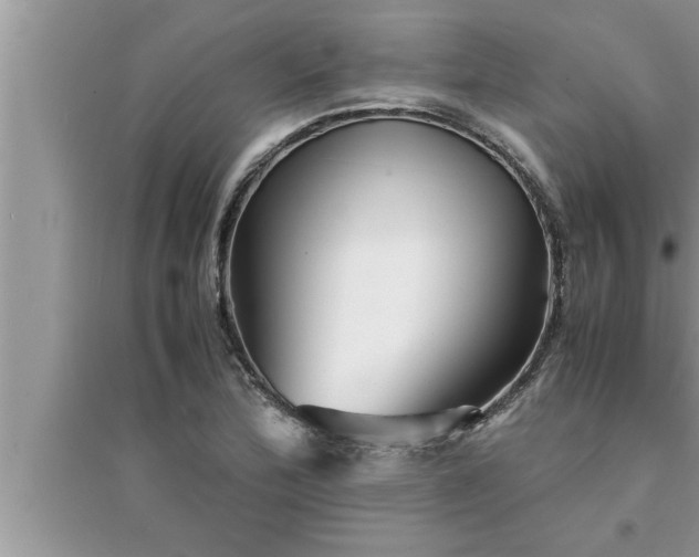 X0000095521172200712211256