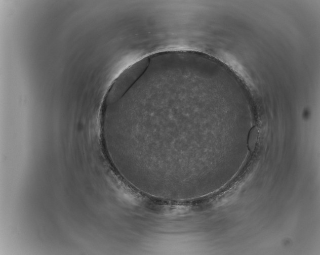 X0000095521173200712211256