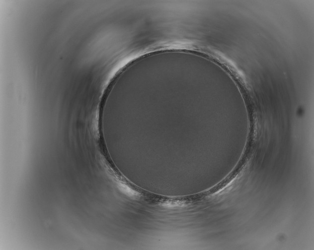 X0000095521174200712211256