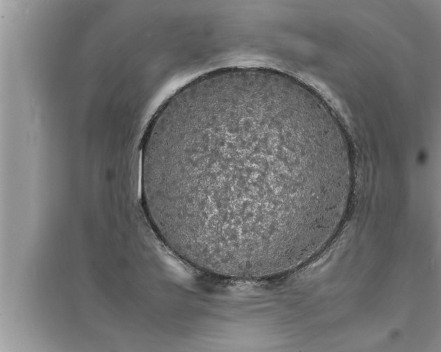 X0000095521175200712211256