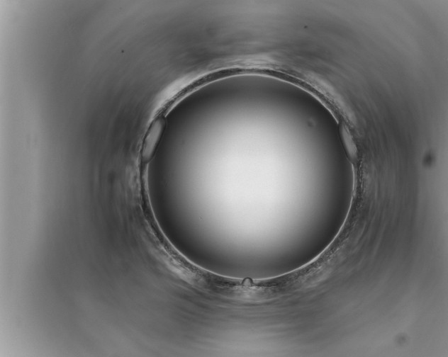 X0000095521176200712211256