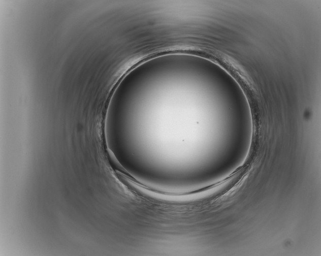 X0000095521177200712211256