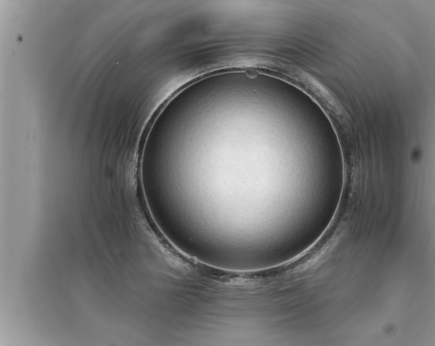 X0000095521178200712211256