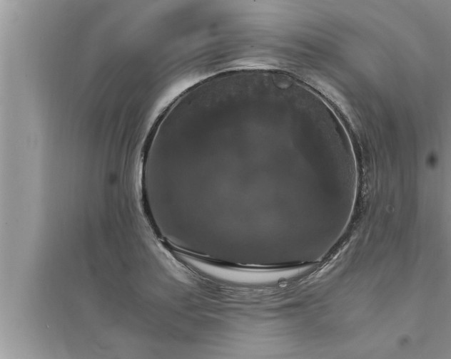 X0000095521179200712211256