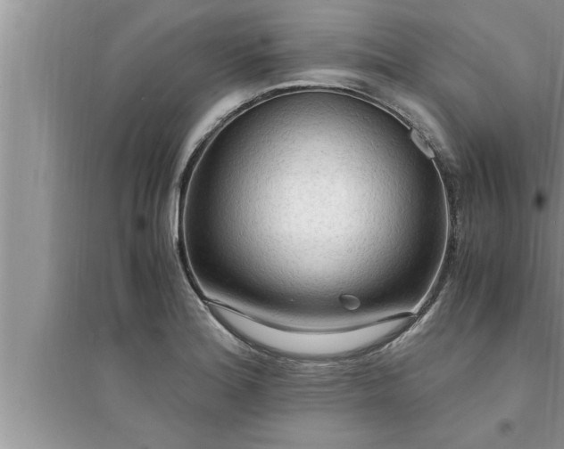 X0000095521180200712211256