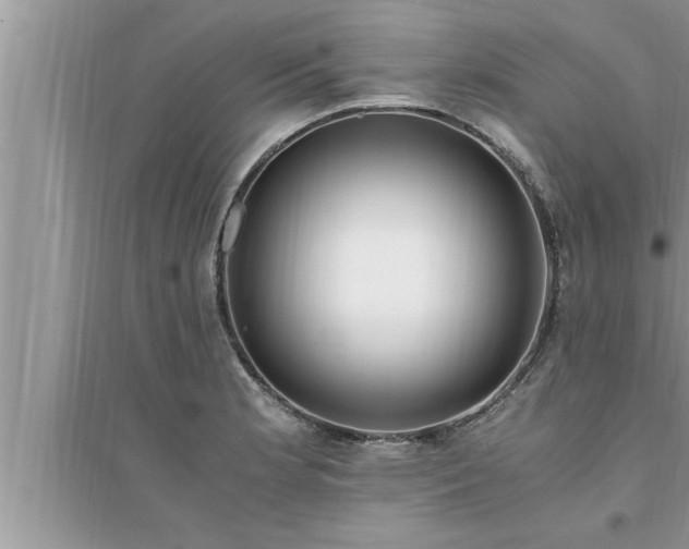 X0000095521181200712211256