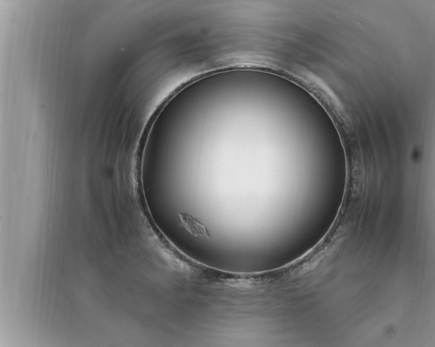 X0000095521182200712211256