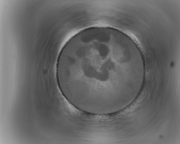 X0000095521183200712211256