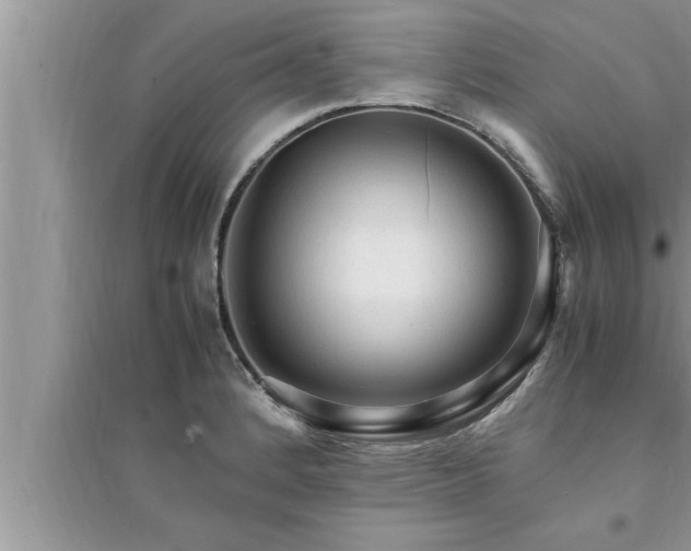 X0000095521184200712211256