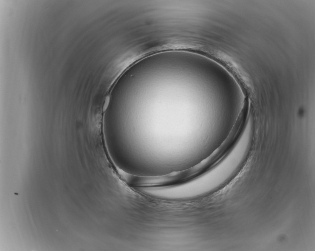 X0000095521185200712211256