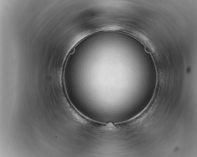 X0000095521186200712211256