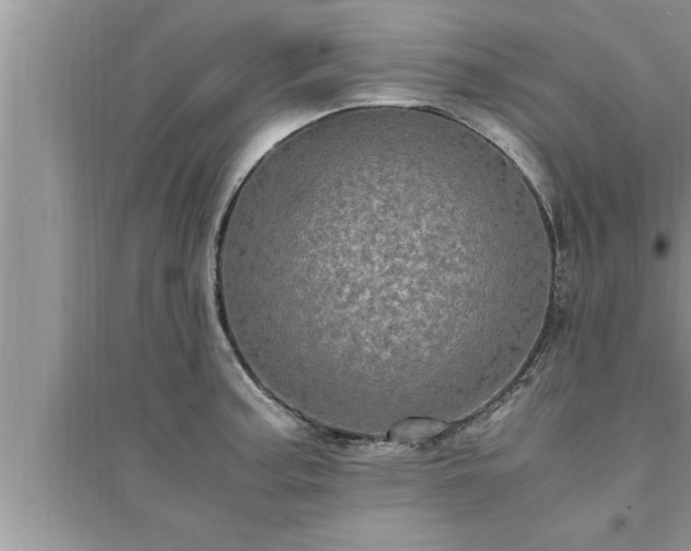 X0000095521187200712211256