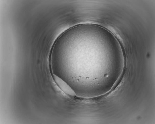 X0000095521189200712211256