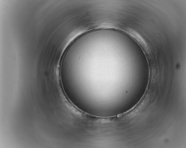 X0000095521190200712211256