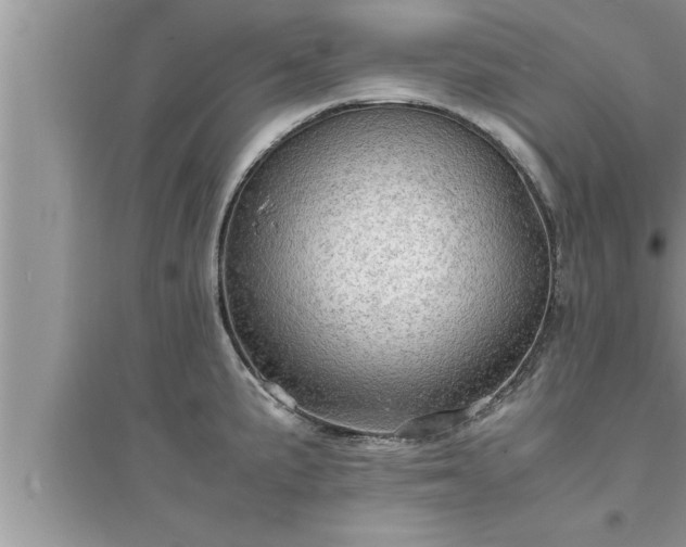 X0000095521191200712211256