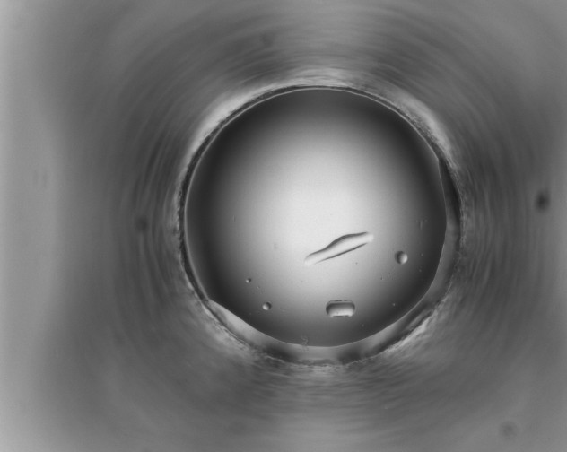 X0000095521192200712211256