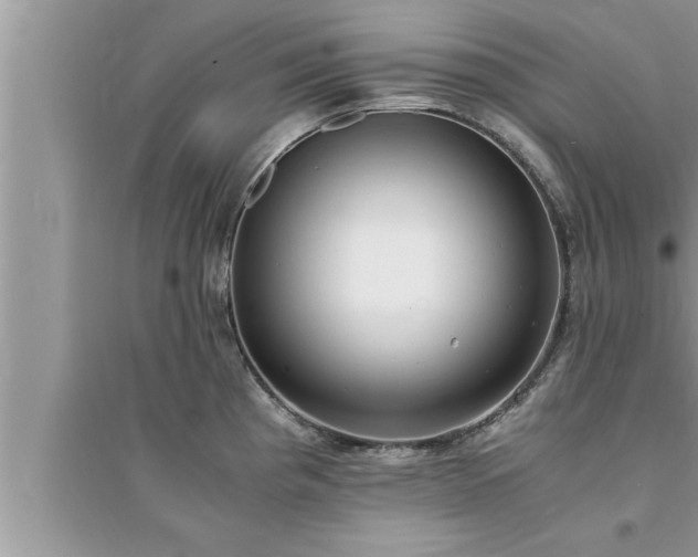 X0000095521193200712211256