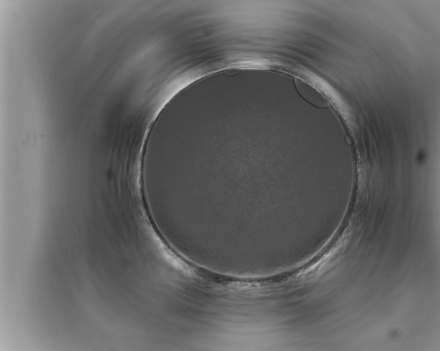 X0000095521194200712211256