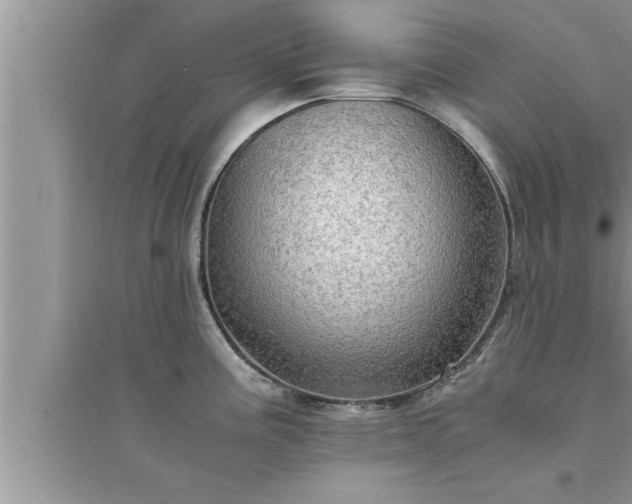 X0000095521195200712211256