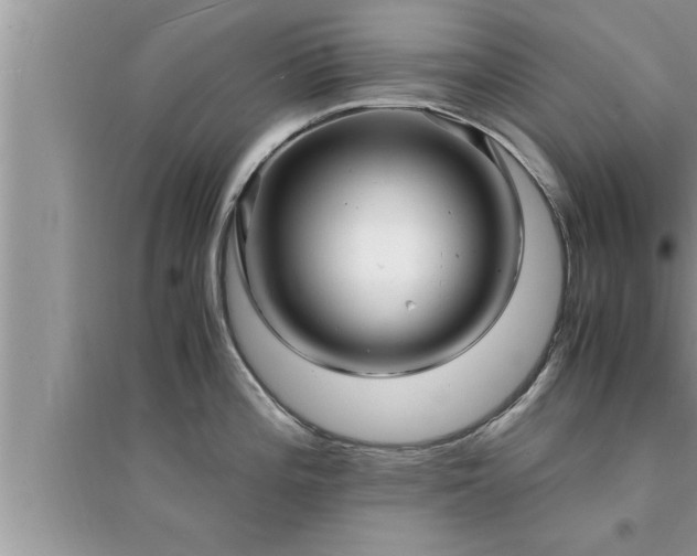 X0000095521196200712211256