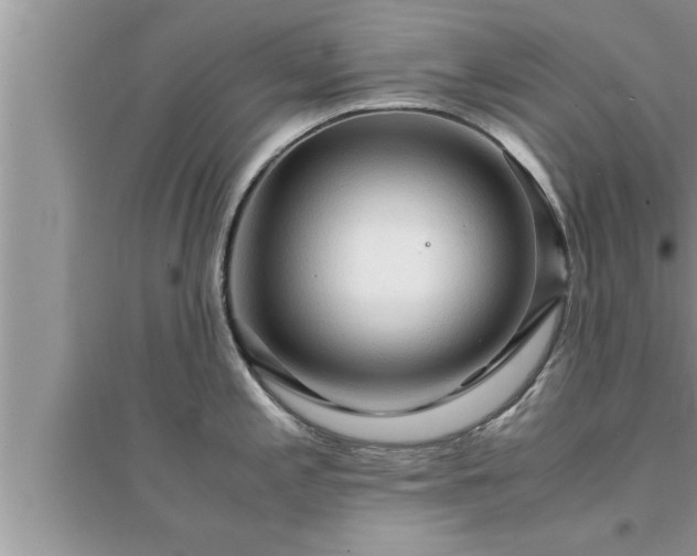 X0000095521197200712211256