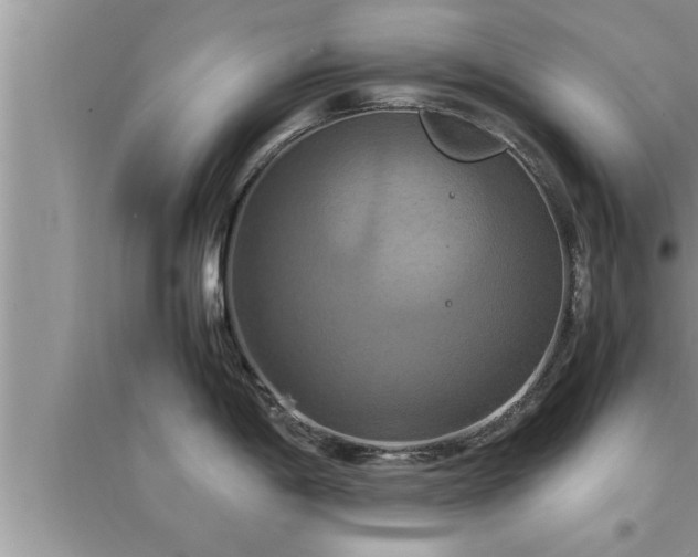 X0000095521198200712211256