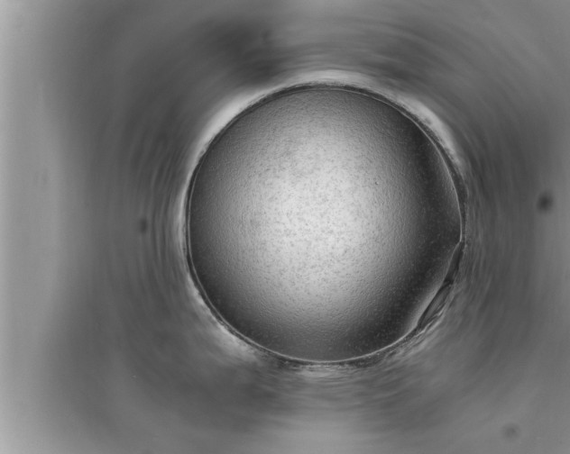 X0000095521199200712211256