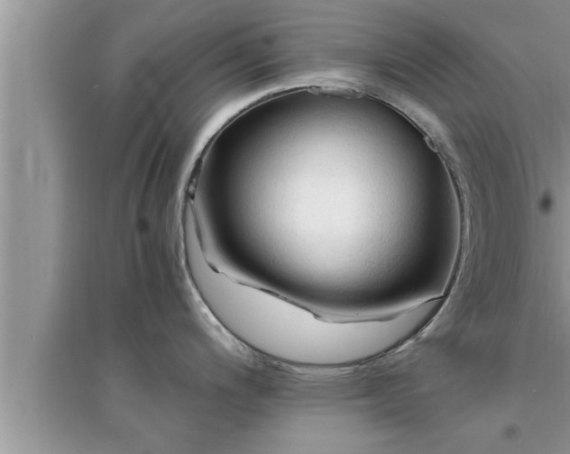 X0000095521200200712211256