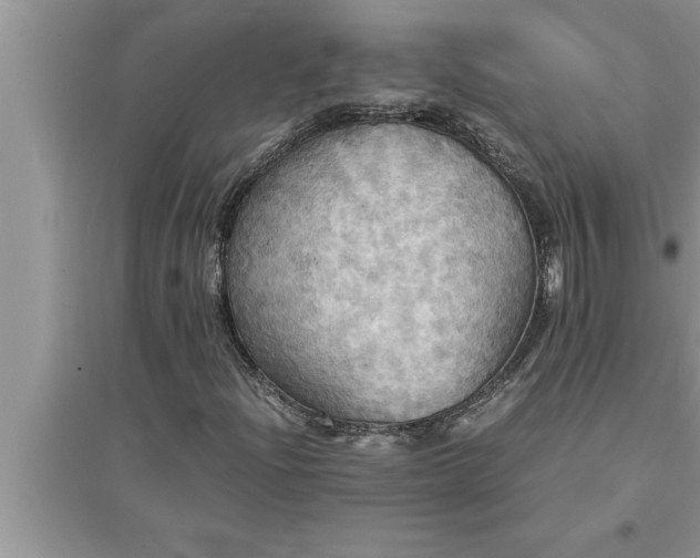 X0000095521204200712211255