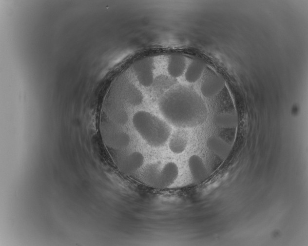 X0000095521205200712211255