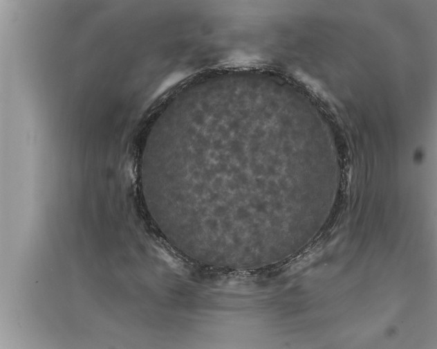 X0000095521206200712211255