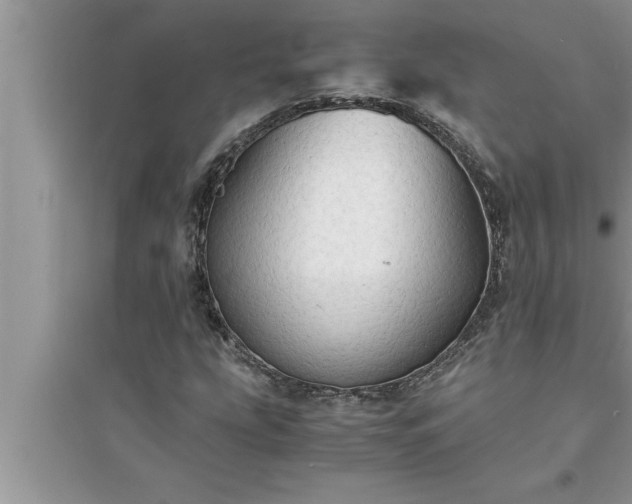 X0000095521207200712211255