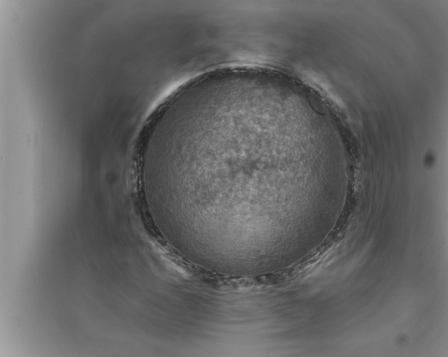 X0000095521208200712211255