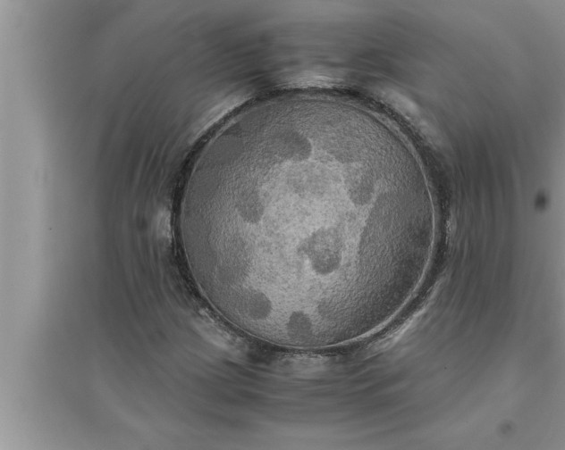 X0000095521209200712211255