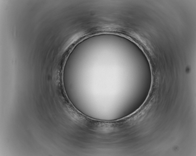 X0000095521211200712211255